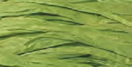 Raffia Folia rol a 30m groen -