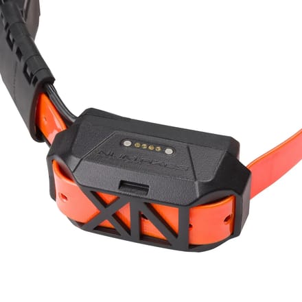 Hond locatie systeem met training Num'axes Canicom Gps Mini