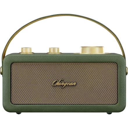 Sangean RA-101 Draagbare radio FM Bluetooth, AUX Oplaadbaar Groen, Goud