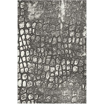 Sizzix 3D Embossing sjabloon "Reptile by Tim Holtz"