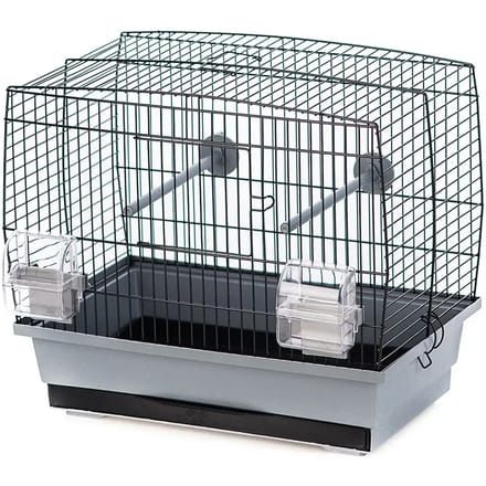 Vogelkooi Duvoplus Natalia 1