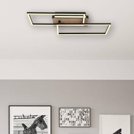 Globo - plafonniere - Colli - naturel zwart - metaal - LED - 67299D