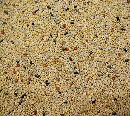 VOGRO tropenzaad - 5 kg
