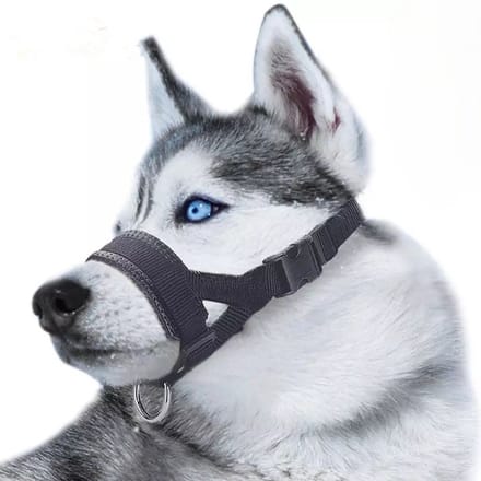 Muilkorf Honden L - Adjustable Dog Muzzle - Anti-Bite, Anti-Bark & Anti-Chew - with Leash Ring-LOUZIR