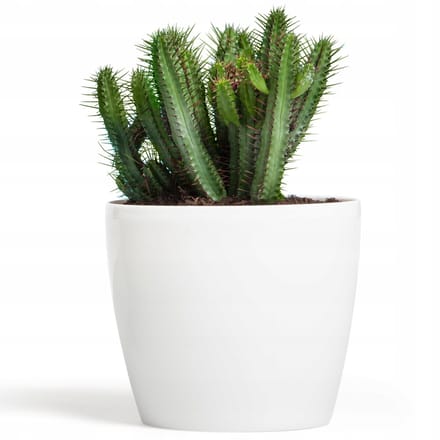 Glanzende Witte Pot, Diameter 36 cm, Hoogte 31,6 cm