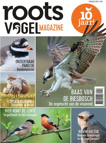 Roots Vogelmagazine special - voorjaarseditie - 2026