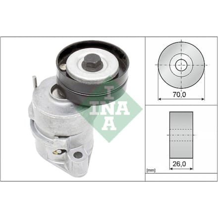 Schaeffler Ina Riemspanner, Poly V-riem INA 534 0102 30
