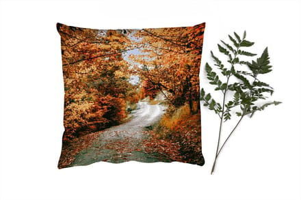 Sierkussens - Kussentjes Woonkamer - 60x60 cm - Herfstbos - Pad - Bladeren - Landelijk