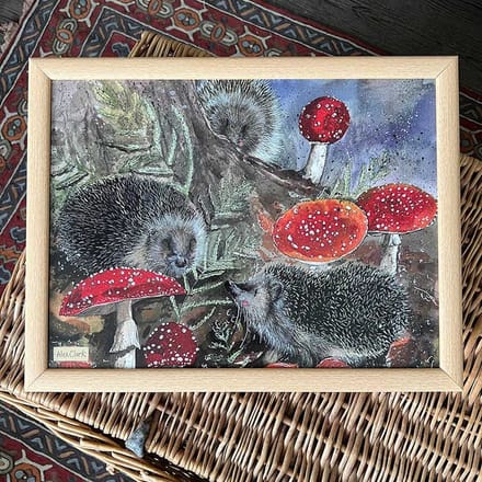 Alex Clark Schootkussen Egel ~ Hedgehogs