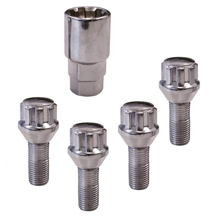 Anti-diefstalschroeven Carpoint 0520501