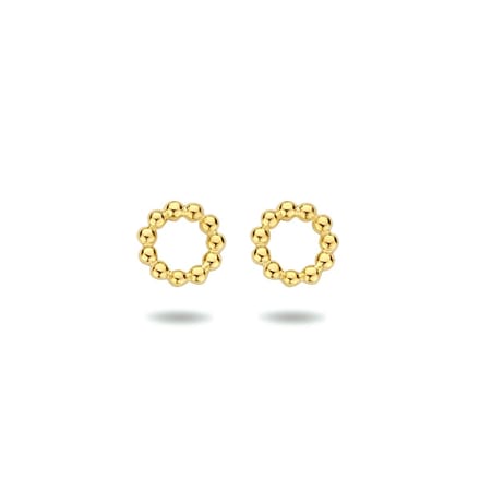Zilver Verguld (Geel) Oorknoppen Rond 1 Micron 2103175