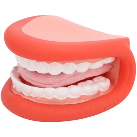 Mondpop met Tong Tanden Model Borstel voor Spraakherstel Jongens Meisjes Educatief Gereedschap beige