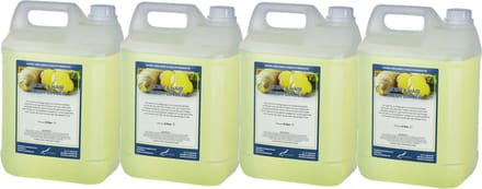 Body & Hair Fresh Ginger 5 Liter - set van 4 stuks - 2 in 1 voor lichaam en haar.