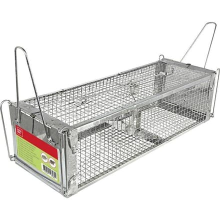 Swissinno Maus- und Rattenkäfig Pro Niet dodelijke val 1 stuk(s)