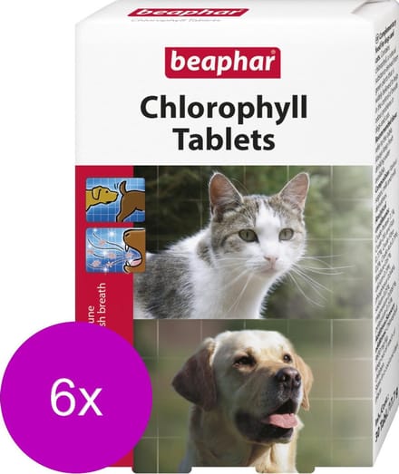 Beaphar Chlorophyl Tabletten - Gebitsverzorging - 6 x 30 tab