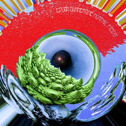 Edgar Summertyme - Morphic Fields (CD)