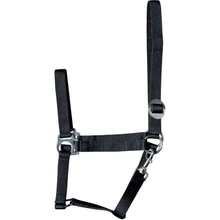 Harry's Horse Halster Economy Shetland Zwart