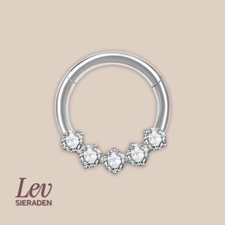 Lev Sieraden - Titanium premium neus ring - 5 zirkonia segment ring - 1.2x8mm - Zilver - segment ring - neuspiercing - tragus piercing - Oorpiercing