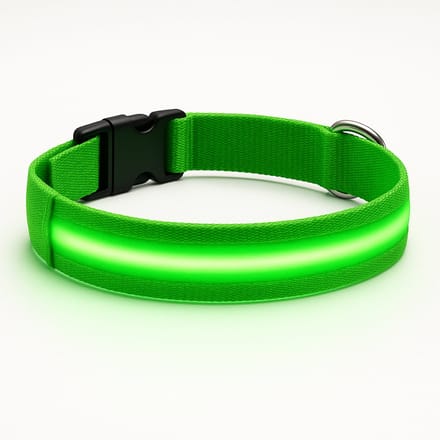 Professor Q LED halsband hond - Nylon - Groen - XL - USB oplaadbaar