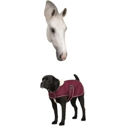 Fleece hondendeken Diego & Louna Teddy