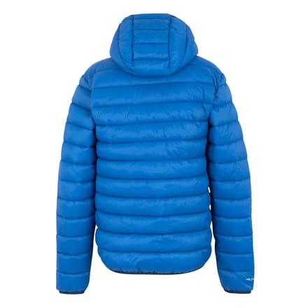 Regatta Heren Marizion gewatteerde jas met capuchon (Blauw)