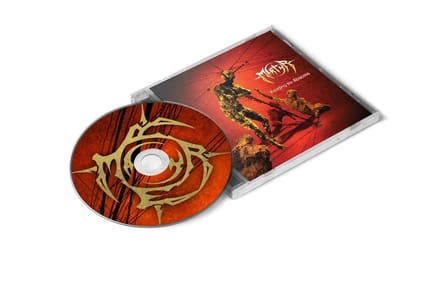 Feeding the Abscess (Reissue)