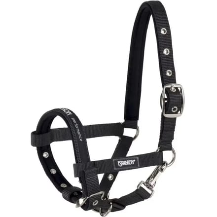 Eskadron Veulenhalster Black