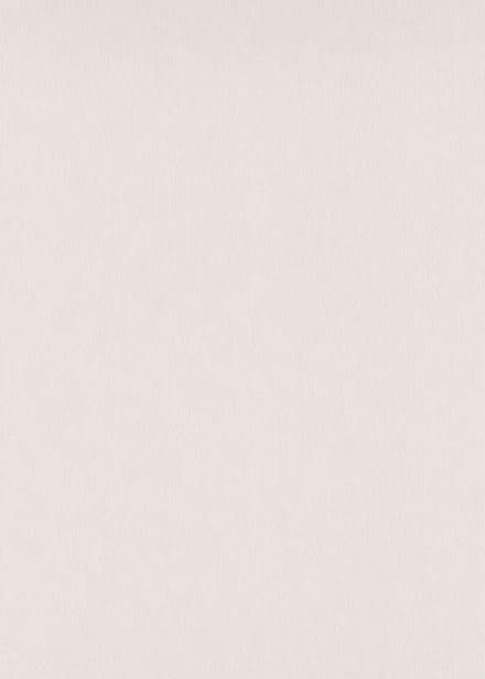 Erismann Vinylbehang 10281-38 - Versailles - Wit - 53cm x 10.05m
