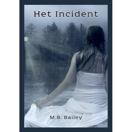 Het Incident - M.B. Bailey