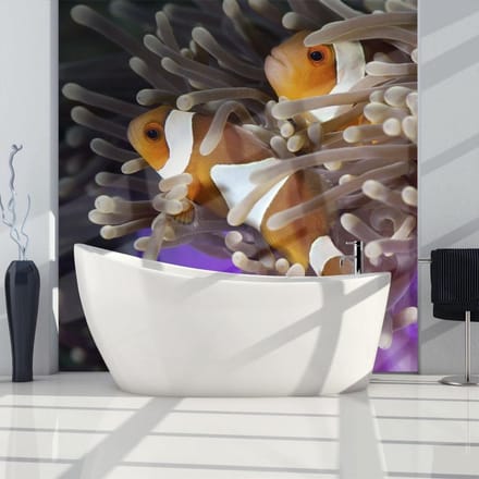 Fotobehang – Behangpapier - Fotobehang - Clownfish 400x309 - Artgeist