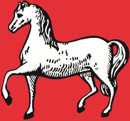 Vlag Assendelft 50x75cm
