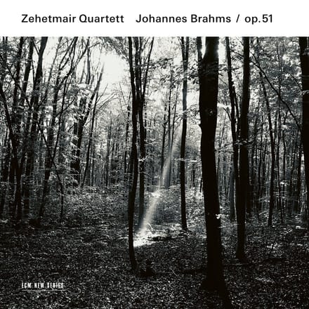 Zehetmair Quartett - Brahms: String Quartets Op. 51 (CD)