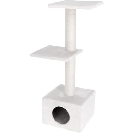 Kattenboom Kerbl Venus