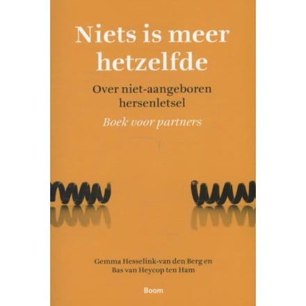 Niets Is Meer Hetzelfde - Gemma Hesselink-van den Berg