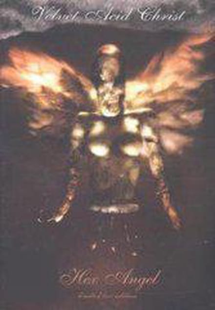 Hex Angel -Ltd-