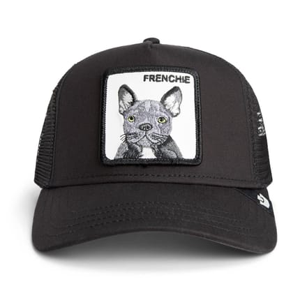 Goorin Bros. Frenchie Trucker cap - Void