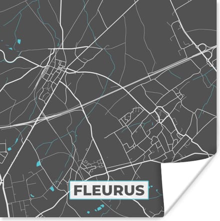 Poster België – Fleurus – Stadskaart – Kaart – Blauw – Plattegrond - 75x75 cm