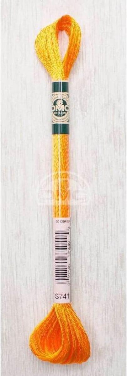 DMC MOULINÉ SATIN 2X8M - S0741