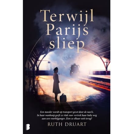 Terwijl Parijs Sliep - Ruth Druart