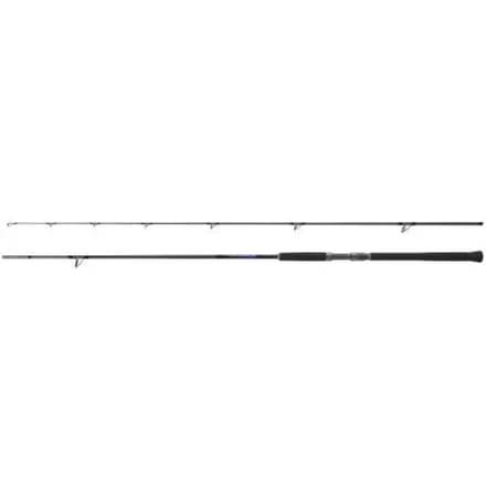 Shimano Fishing Bb S96m Spinhengel Zilver 2.90 m / 45 g