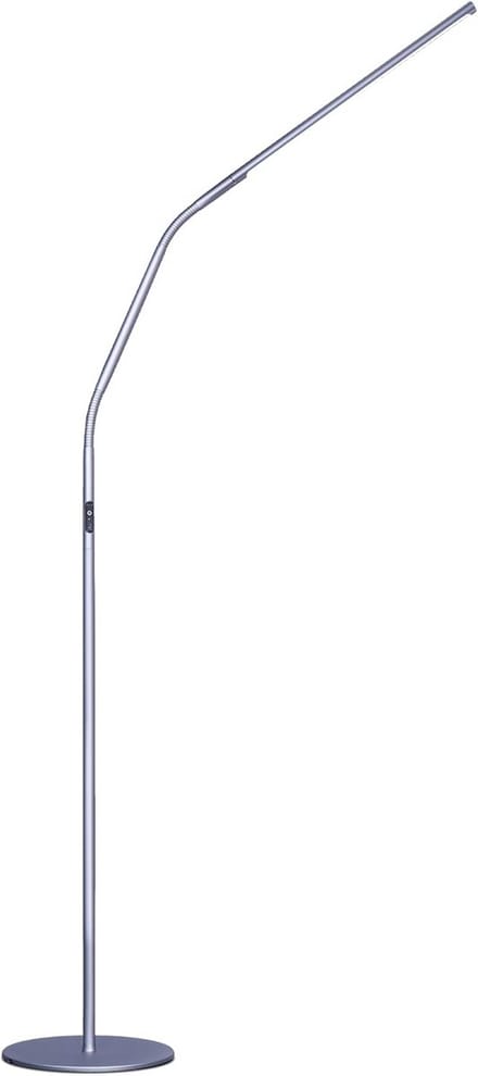 Slimline Vloerlamp met Daglichtlamp voor Binnenverlichting