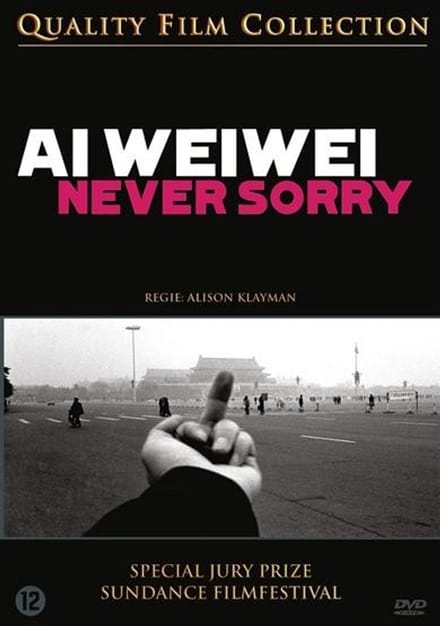 Ai Weiwei - Never Sorry (DVD)