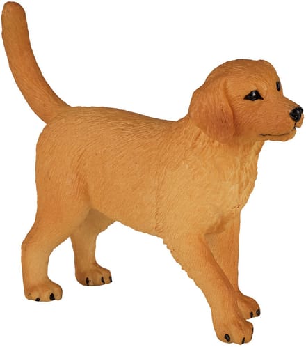 Mojo Farmland Golden Retriever Puppy - 387205