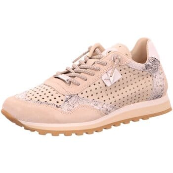 Nette Schoenen Cetti -