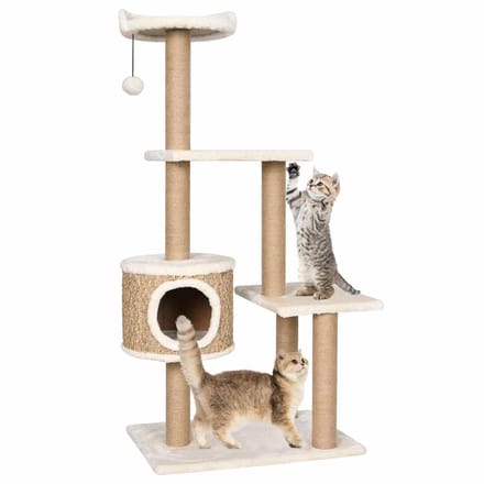 vidaXL - Kattenmeubel - met - krabpalen - 123 - cm - zeegras