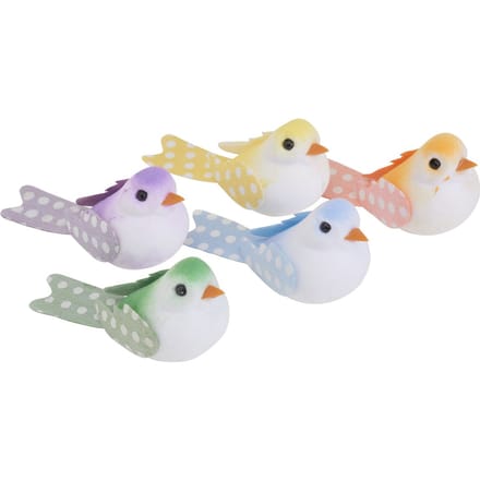 VBS Vogels "Klara"