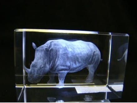 3D lasergravure neushoorn – Glasblokje – 8 x 5 x 5 cm – In geschenkdoosje