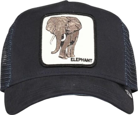 Goorin Bros. Elephant Trucker cap - Blue