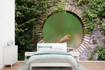 Behang - Fotobehang Vogel - Doorkijk - Roodborstje - Breedte 525 cm x hoogte 350 cm