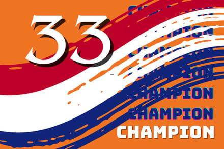 33 Champion Vlag 100x150cm